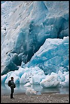 Hiker looking at ice wall at the terminus of Reid Glacier. Glacier Bay National Park, Alaska, USA.