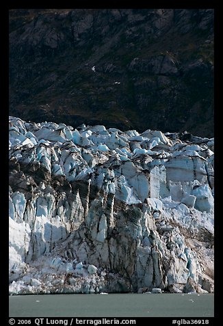 Front of Lamplugh glacier. Glacier Bay National Park, Alaska, USA.