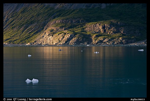 Icebergs and spot of sunlight on slopes around Tarr Inlet. Glacier Bay National Park, Alaska, USA.