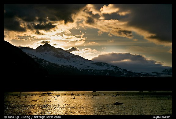 Mount Eliza and Tarr Inlet under clouds at sunset. Glacier Bay National Park (color)