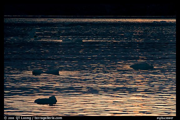 Ripples and icebergs at sunset, Tarr Inlet. Glacier Bay National Park, Alaska, USA.