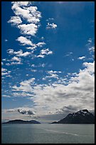 Drake and Francis Islands. Glacier Bay National Park, Alaska, USA. (color)