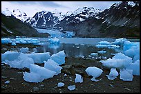 Icebergs and McBride Glacier. Glacier Bay National Park, Alaska, USA.