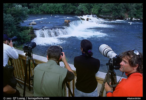 Photographers on observation platform and Brooks falls with bears. Katmai National Park (color)