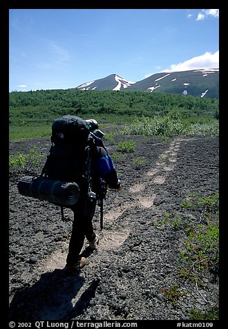 Backpacker follow bear tracks, Valley of Ten Thousand smokes. Katmai National Park, Alaska