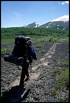 Backpacker follow bear tracks, Valley of Ten Thousand smokes. Katmai National Park, Alaska
