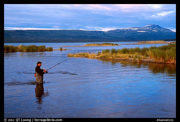Man fishing for salmon in the Brooks river. Katmai National Park, Alaska, USA.