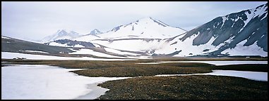 Lichens, snow patches, and snowy peaks. Katmai National Park (Panoramic color)