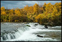 Brooks Falls and bears fishing in autumn. Katmai National Park ( color)
