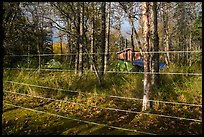 Brooks Camp campground surrounded with electric fence. Katmai National Park, Alaska, USA.