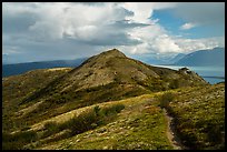 Dumpling Mountain Trail. Katmai National Park ( color)