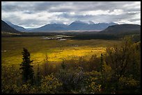 Shaft of light over tundra meadow downstream of Valley of Ten Thousand Smokes. Katmai National Park ( color)