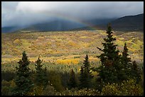 Rainbow over valley in autumn foliage. Katmai National Park ( color)