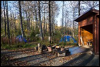 Tents, fire ring, and shelter, Brooks Camp campground. Katmai National Park, Alaska, USA.