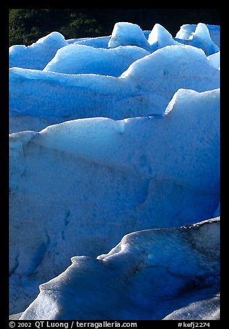 Ridges of blue ice at the terminus of Exit Glacier. Kenai Fjords National Park, Alaska, USA.