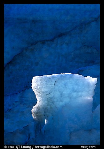 Glacial ice detail at the terminus of Exit Glacier. Kenai Fjords National Park, Alaska, USA.
