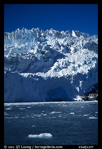 Front of Aialik Glacier, Aialik Bay. Kenai Fjords National Park, Alaska, USA.