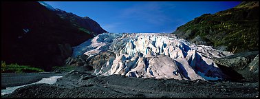 Terminus of Exit Glacier. Kenai Fjords  National Park (Panoramic color)