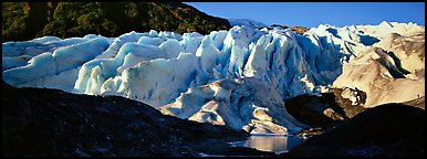 Glacier landscape. Kenai Fjords National Park (Panoramic color)