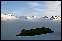 Patch of grass emerging from snow cover and mountains. Kenai Fjords National Park ( color)
