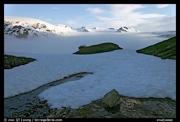 Melting neve in early summer and Harding ice field. Kenai Fjords National Park, Alaska, USA.