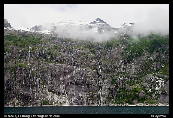 Wall of waterfalls streaming into Cataract Cove, Northwestern Fjord. Kenai Fjords National Park, Alaska, USA.