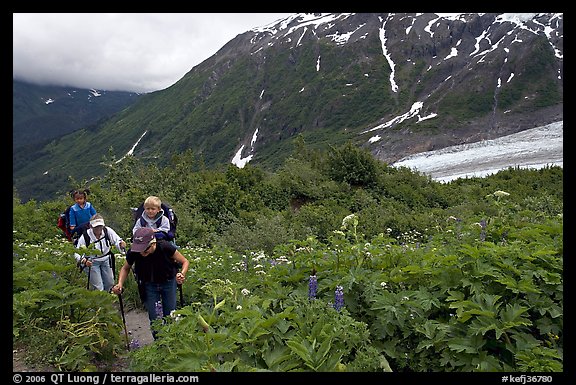 Women with child carrier backpacks on Harding Icefield trail. Kenai Fjords National Park, Alaska, USA.