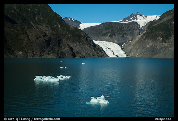 Aerial View of icebergs, Pedersen Lagoon and Glacier. Kenai Fjords National Park (color)