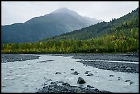 Streams on Exit Glacier outwash plain in the rain. Kenai Fjords National Park, Alaska, USA.