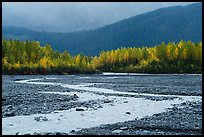 Stream and trees in autumn foliage, Exit Glacier outwash plain. Kenai Fjords National Park, Alaska, USA.