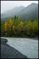 Stream, trees in autum foliage, and misty mountains. Kenai Fjords National Park, Alaska, USA.