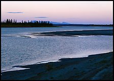 Sand bar shore, river, row of spruce trees,  and Baird mountains, evening. Kobuk Valley National Park, Alaska, USA.