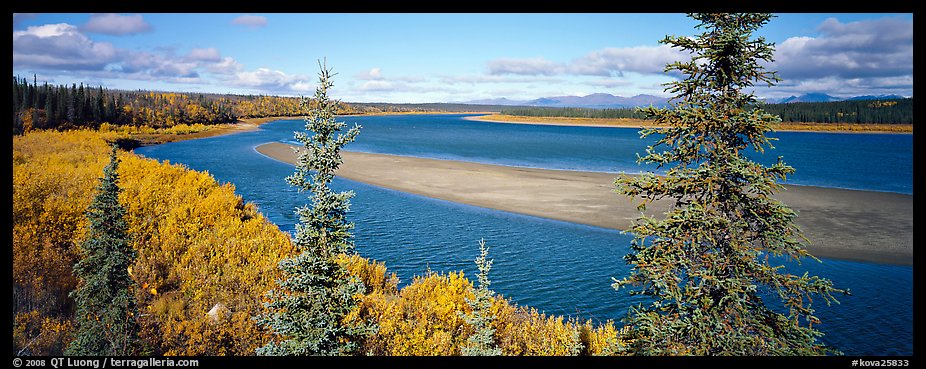 Northern river scenery seen through spruce trees. Kobuk Valley National Park (color)
