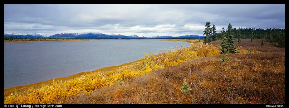 Tundra and river. Kobuk Valley National Park (color)