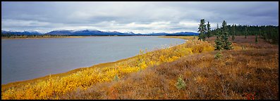 Tundra and river. Kobuk Valley National Park (Panoramic color)