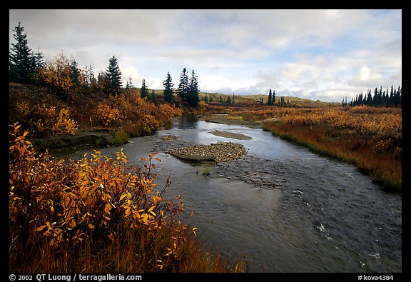 Kavet Creek, with the Great Sand Dunes in the background. Kobuk Valley National Park (color)