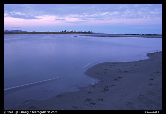 Sand bar shore with caribou tracks, evening. Kobuk Valley National Park, Alaska, USA.
