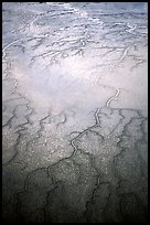 Aerial view of mud flat dendritic pattern on Cook inlet. Lake Clark National Park, Alaska, USA. (color)