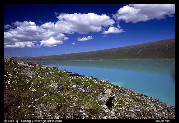 Turquoise Lake. Lake Clark National Park, Alaska, USA.