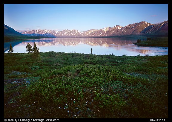 Tundra in summer with wildflowers and Twin Lake shore. Lake Clark National Park, Alaska, USA.
