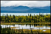 Beaver Pond and Lake Clark. Lake Clark National Park, Alaska, USA.
