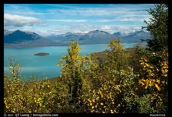Trees in fall foliage and Lake Clark. Lake Clark National Park (color)