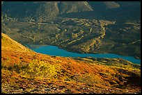 Tundra in autumn, turquoise Kontrashibuna Lake. Lake Clark National Park ( color)
