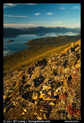 Lake Clark from Tanalian Mountain, late afternoon. Lake Clark National Park (color)
