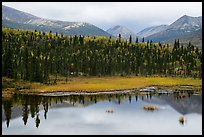 Beaver Pond and mountains. Lake Clark National Park, Alaska, USA.