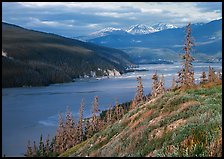 Wide Chitina river. Wrangell-St Elias National Park, Alaska, USA.
