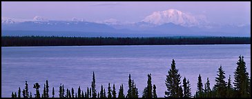 Snowy mountain rising mysteriously above lake. Wrangell-St Elias National Park (Panoramic color)