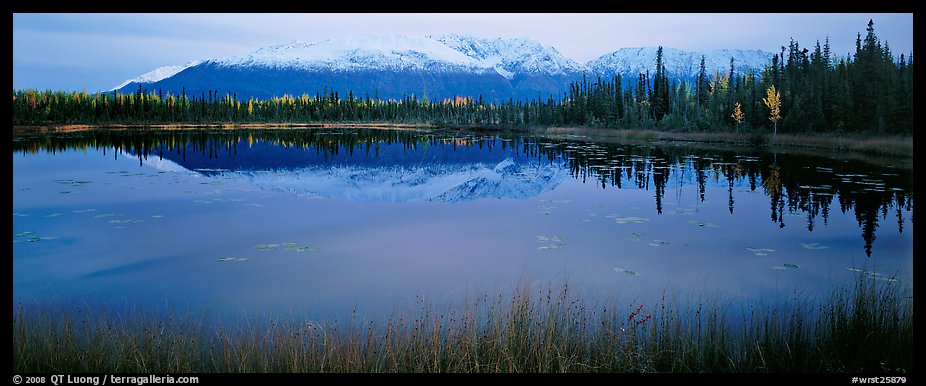 Pond and reflected mountains at dusk. Wrangell-St Elias National Park, Alaska, USA.
