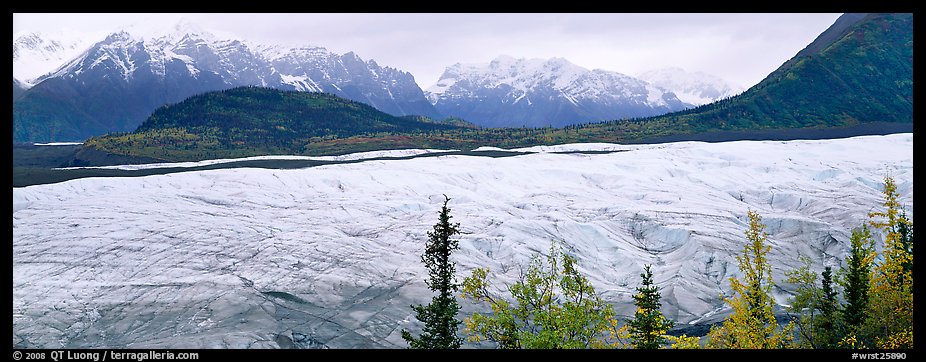 Wide mountain glacier. Wrangell-St Elias National Park, Alaska, USA.