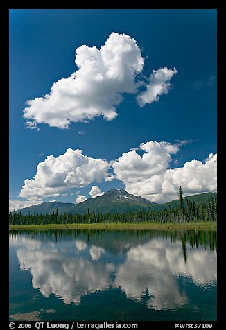 Puffy clouds reflected in lake. Wrangell-St Elias National Park, Alaska, USA.